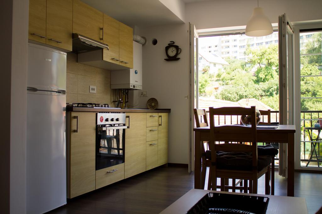 Avram Iancu Private Apartment With Ac Brassó Kültér fotó